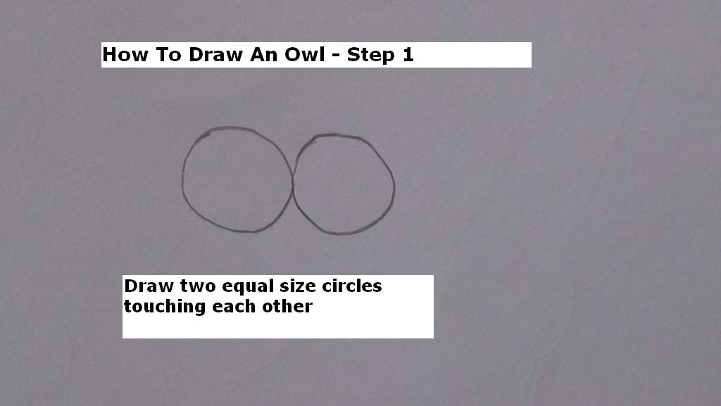 How to Draw An Owl Step 1