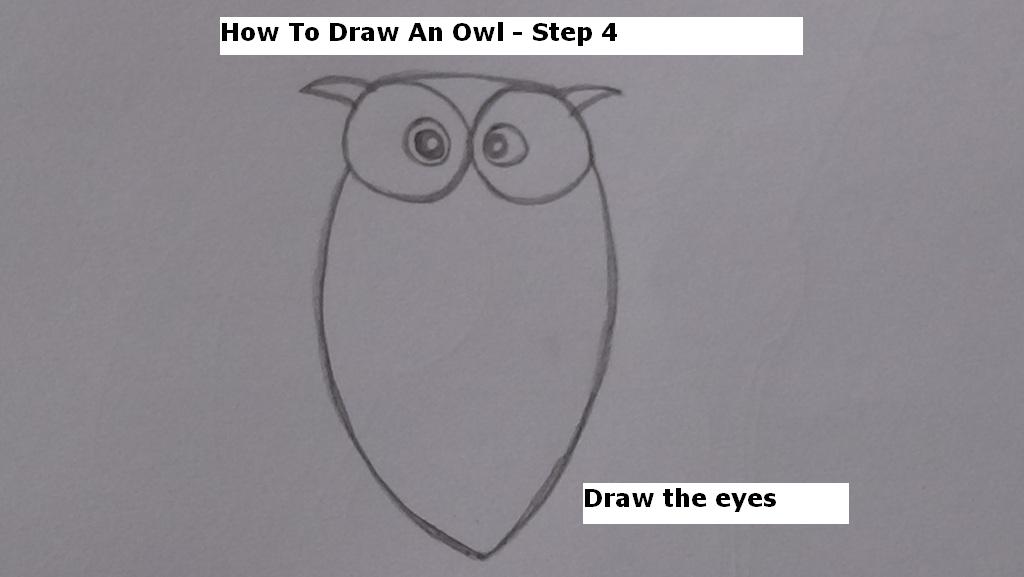 How to Draw An Owl Step 4