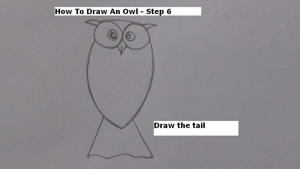How to Draw An Owl Step 6