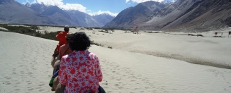 Two-Humped-Bactian-Camel-Safari-At-Hunder-Desert-Nubra-Valley