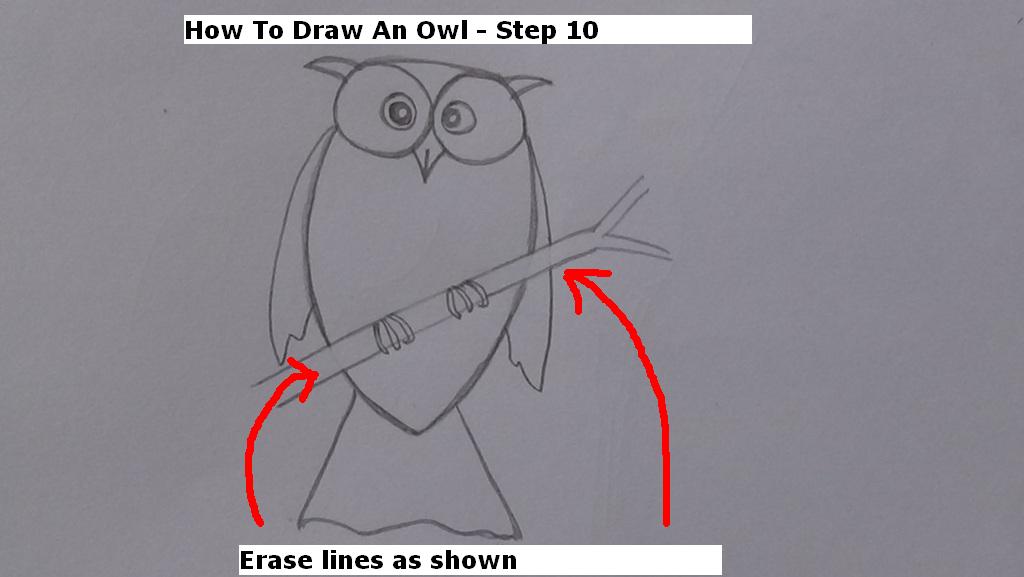 How to Draw An Owl Step 10