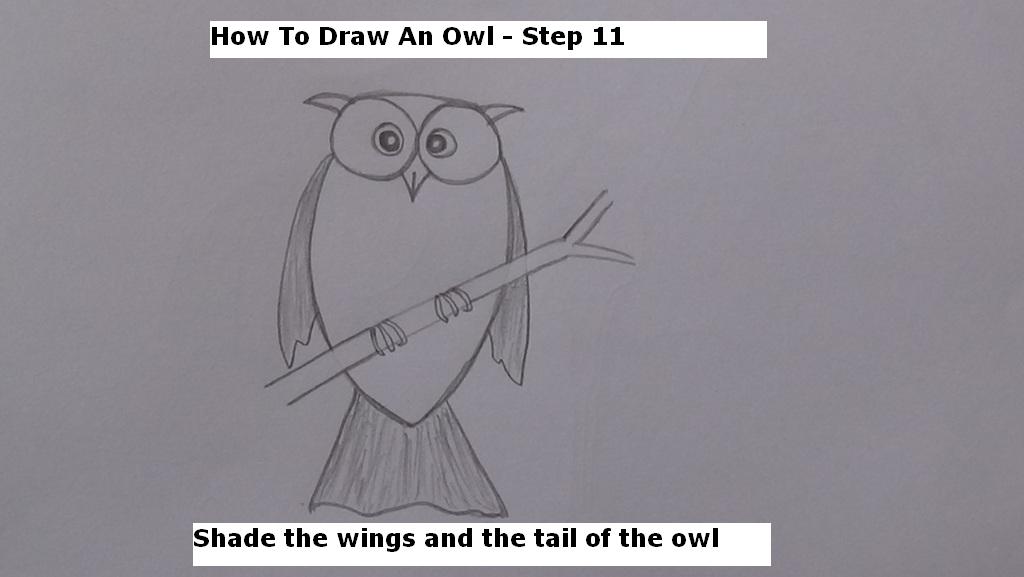How to Draw An Owl Step 11