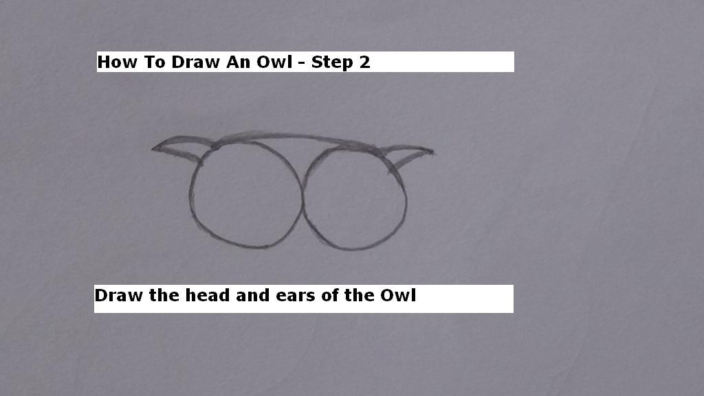 How to Draw An Owl Step 2