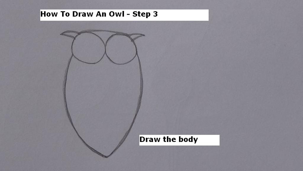 How to Draw An Owl Step 3