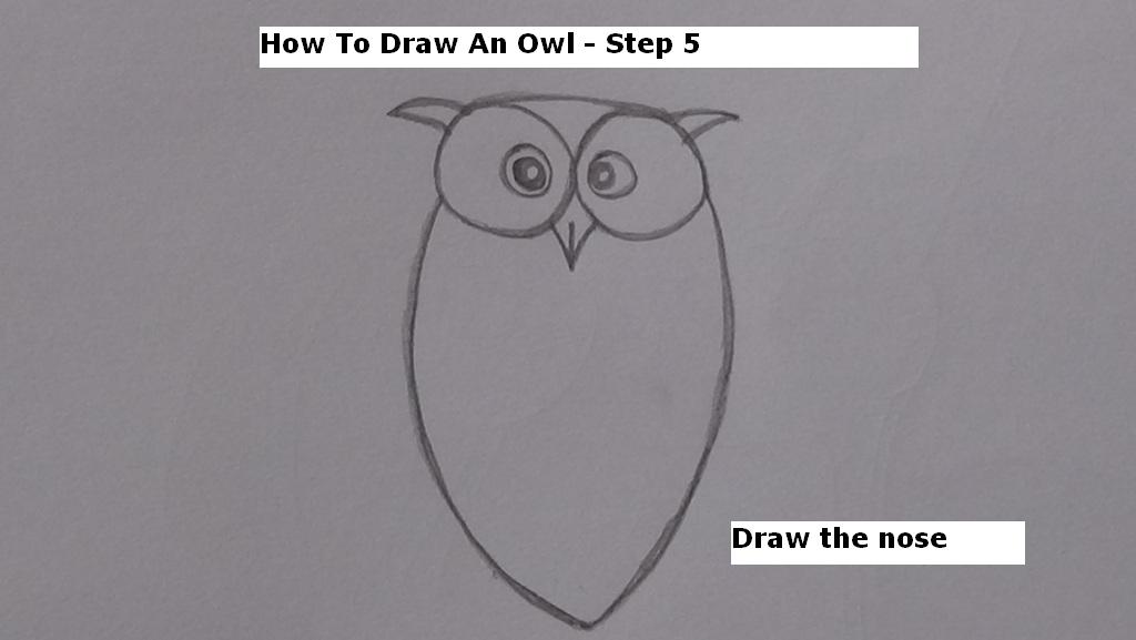 How to Draw An Owl Step 5