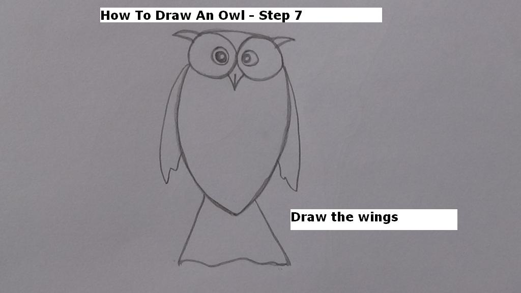How to Draw An Owl Step 7