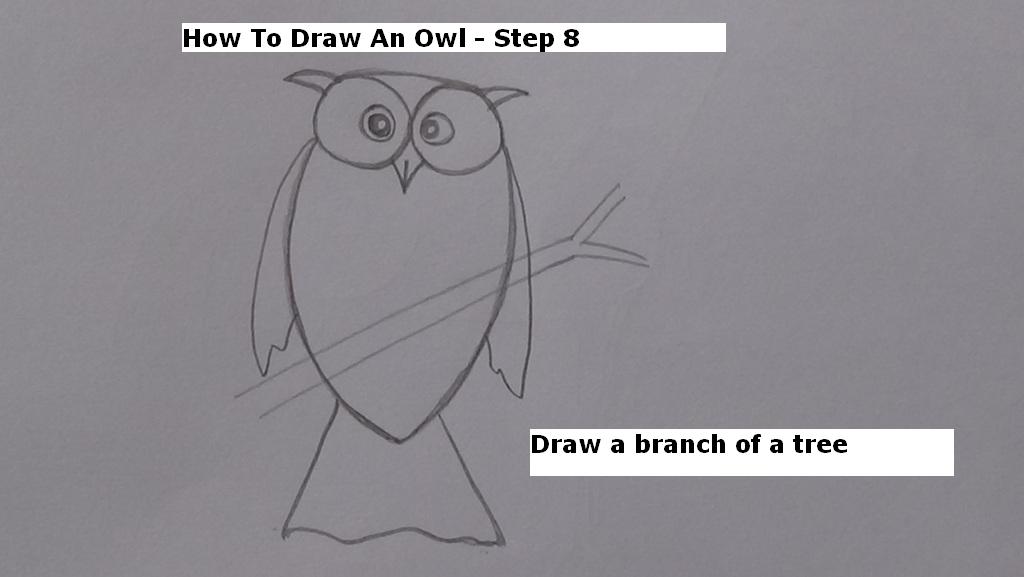 How to Draw An Owl Step 8