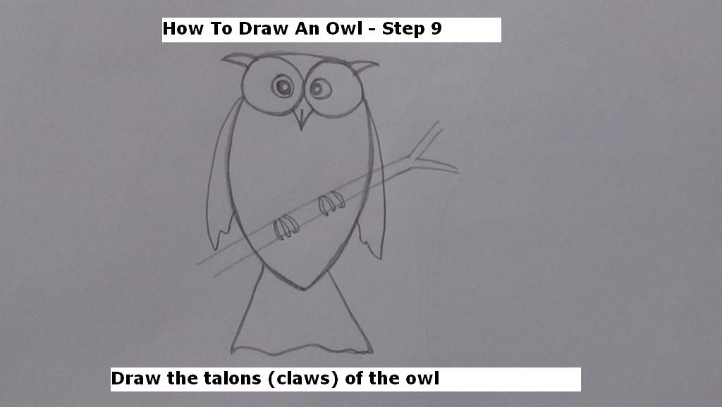 How to Draw An Owl Step 9